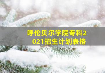 呼伦贝尔学院专科2021招生计划表格