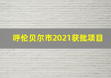 呼伦贝尔市2021获批项目