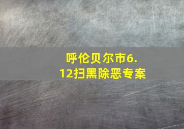 呼伦贝尔市6.12扫黑除恶专案