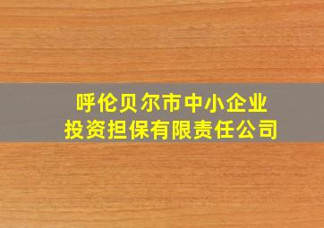 呼伦贝尔市中小企业投资担保有限责任公司