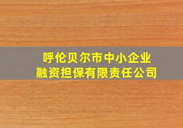 呼伦贝尔市中小企业融资担保有限责任公司