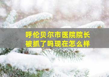 呼伦贝尔市医院院长被抓了吗现在怎么样