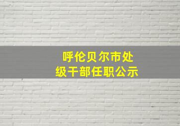 呼伦贝尔市处级干部任职公示