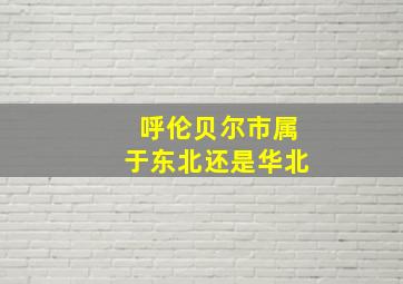 呼伦贝尔市属于东北还是华北