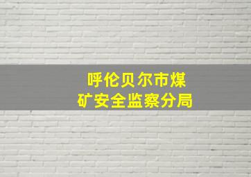 呼伦贝尔市煤矿安全监察分局