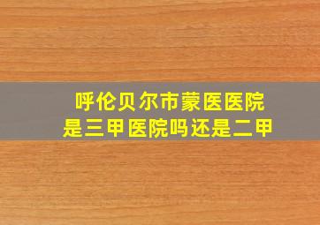 呼伦贝尔市蒙医医院是三甲医院吗还是二甲