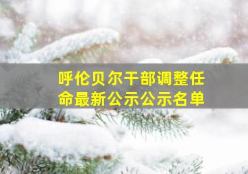 呼伦贝尔干部调整任命最新公示公示名单