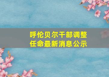 呼伦贝尔干部调整任命最新消息公示