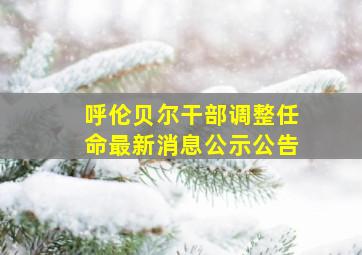 呼伦贝尔干部调整任命最新消息公示公告