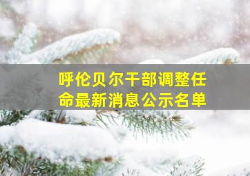 呼伦贝尔干部调整任命最新消息公示名单