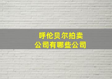 呼伦贝尔拍卖公司有哪些公司