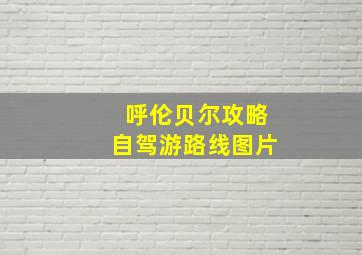 呼伦贝尔攻略自驾游路线图片