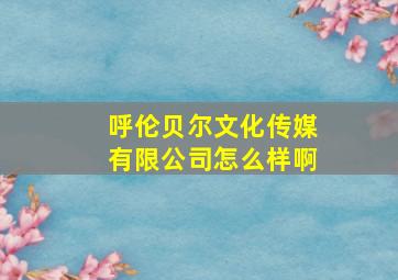 呼伦贝尔文化传媒有限公司怎么样啊