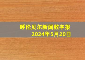 呼伦贝尔新闻数字报2024年5月20日