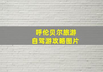 呼伦贝尔旅游自驾游攻略图片