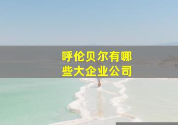 呼伦贝尔有哪些大企业公司