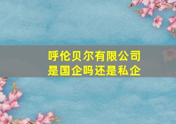 呼伦贝尔有限公司是国企吗还是私企