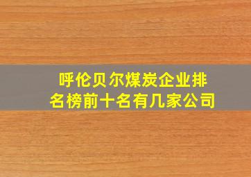 呼伦贝尔煤炭企业排名榜前十名有几家公司