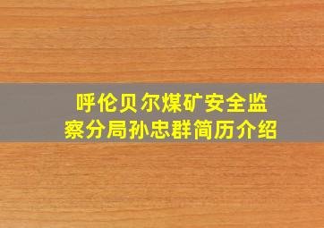 呼伦贝尔煤矿安全监察分局孙忠群简历介绍