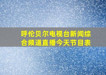 呼伦贝尔电视台新闻综合频道直播今天节目表