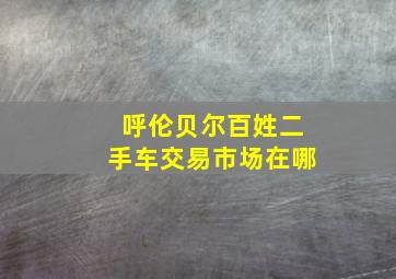 呼伦贝尔百姓二手车交易市场在哪