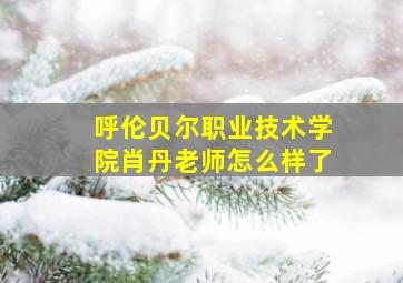 呼伦贝尔职业技术学院肖丹老师怎么样了