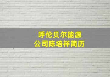 呼伦贝尔能源公司陈培祥简历