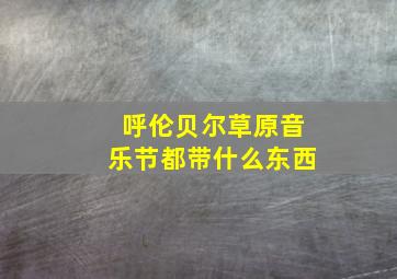 呼伦贝尔草原音乐节都带什么东西