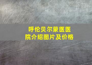 呼伦贝尔蒙医医院介绍图片及价格