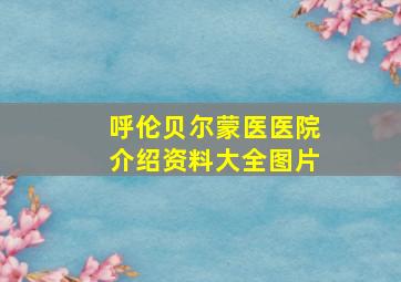 呼伦贝尔蒙医医院介绍资料大全图片