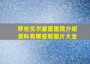 呼伦贝尔蒙医医院介绍资料有哪些呢图片大全