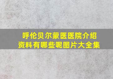 呼伦贝尔蒙医医院介绍资料有哪些呢图片大全集