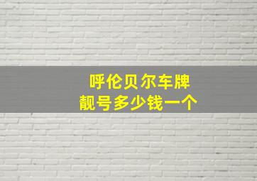 呼伦贝尔车牌靓号多少钱一个