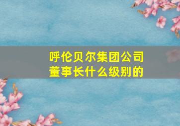 呼伦贝尔集团公司董事长什么级别的