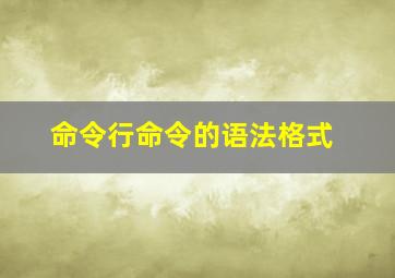 命令行命令的语法格式