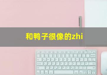 和鸭子很像的zhi