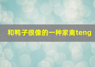 和鸭子很像的一种家禽teng