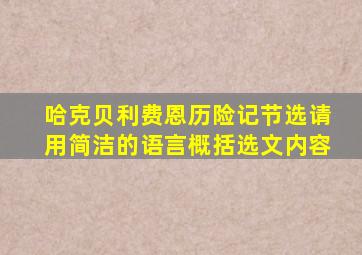 哈克贝利费恩历险记节选请用简洁的语言概括选文内容