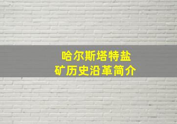 哈尔斯塔特盐矿历史沿革简介