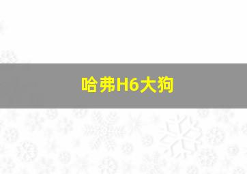 哈弗H6大狗