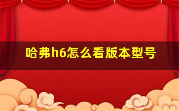 哈弗h6怎么看版本型号