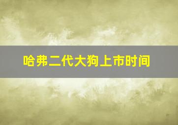 哈弗二代大狗上市时间