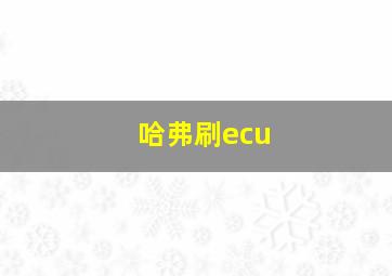 哈弗刷ecu