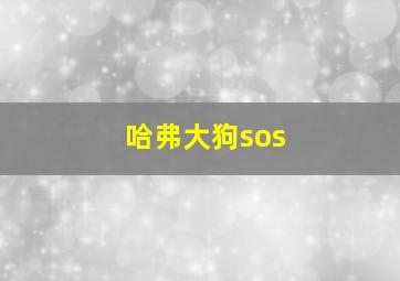 哈弗大狗sos