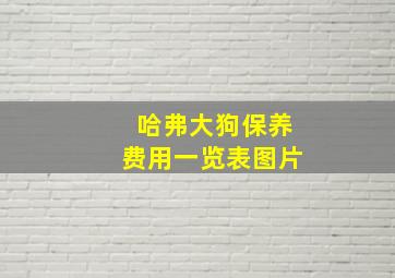 哈弗大狗保养费用一览表图片