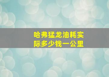 哈弗猛龙油耗实际多少钱一公里