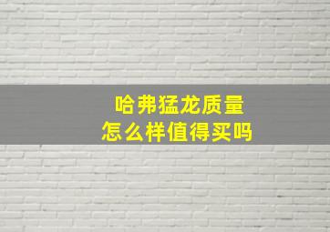 哈弗猛龙质量怎么样值得买吗