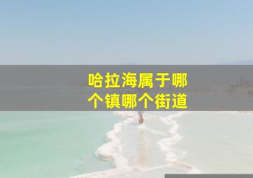 哈拉海属于哪个镇哪个街道