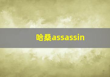 哈桑assassin