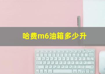 哈费m6油箱多少升